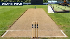 Crane installing a drop-in pitch inside a steel tray in a cricket stadium